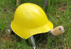 Feuerwehr-Schildkröte